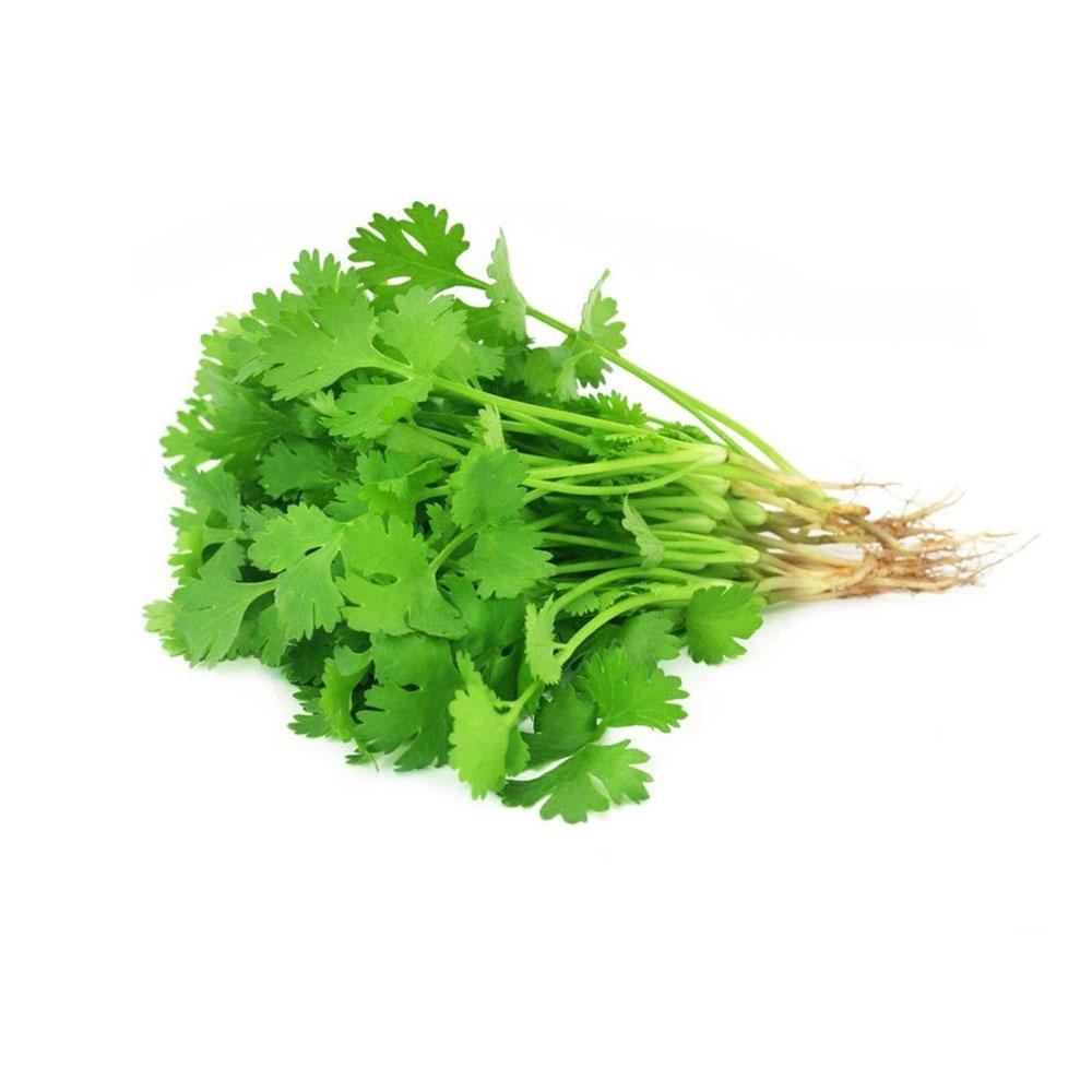 Rau ngò rí 100g – F